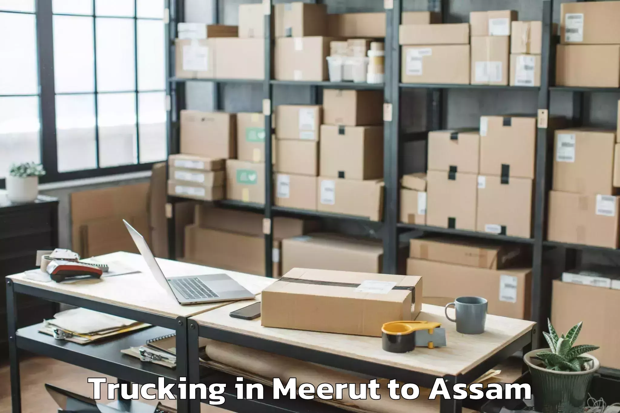 Professional Meerut to Dispur Trucking